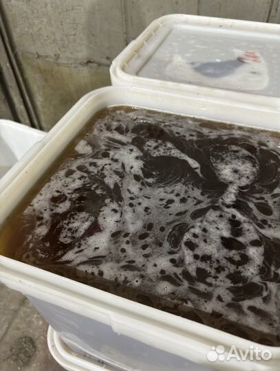 Мед разнотравье