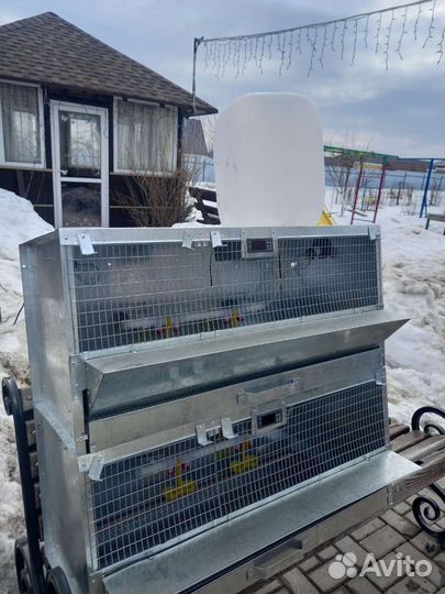 Брудеры и клетки