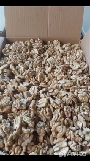 Продаю Орех грецкий
