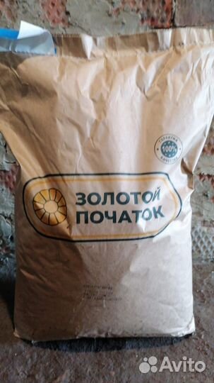 Семена кукурузы