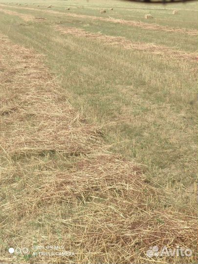 Солома тюки основа трава