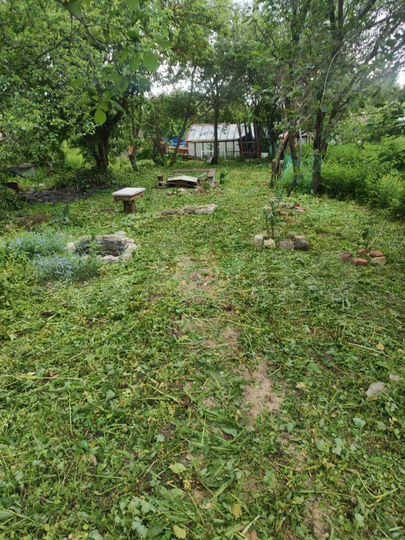 Участок 4 сот. (СНТ, ДНП)