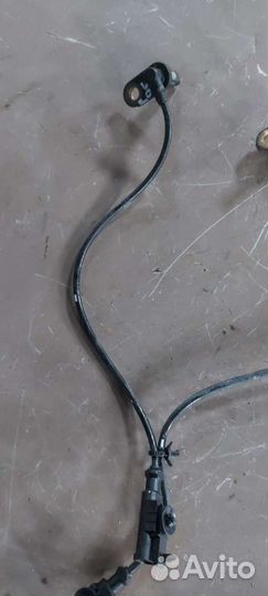 Датчик ABS задний на Nissan Fuga