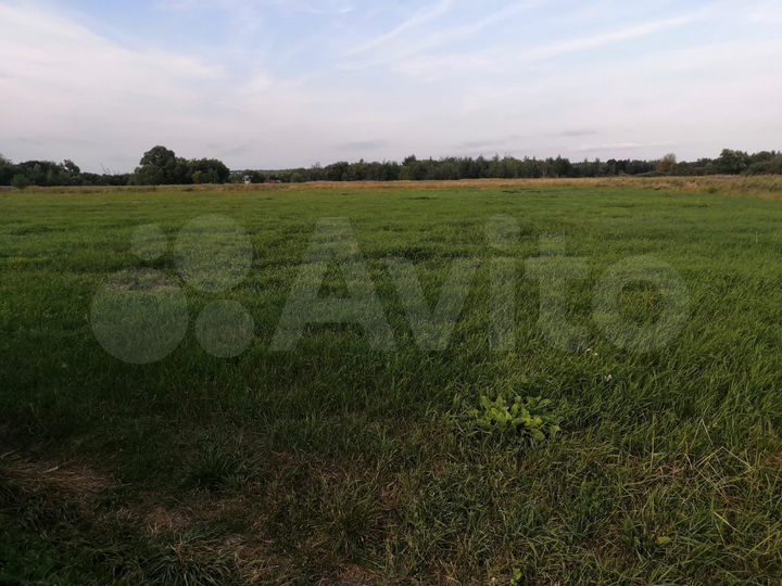 Участок 1,98 га (ИЖС)