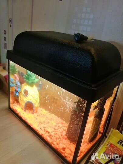 Аквариум для рыбок бу