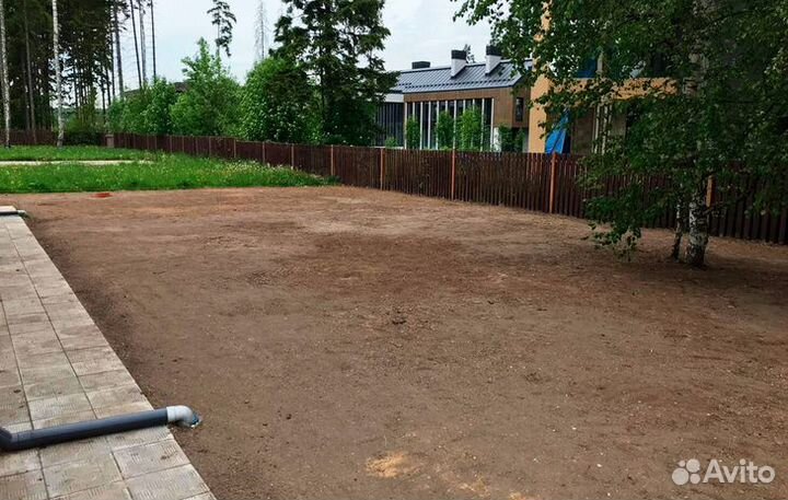 Рулонный газон с бесплатным замером