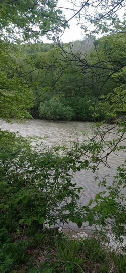 Участок 17,8 сот. (ИЖС)