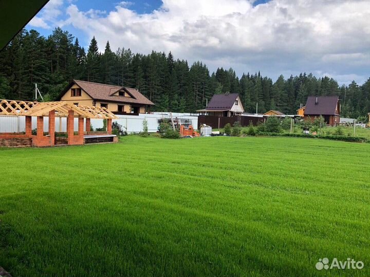 Газон многолетний для участка