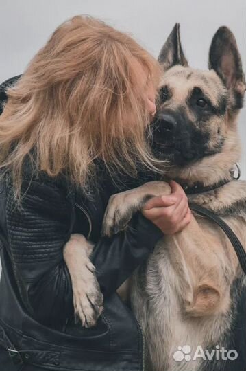 Услуги кинолога с выездом / Зоопсихолог