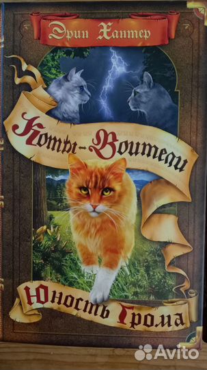 Книги Эрин Хантер 