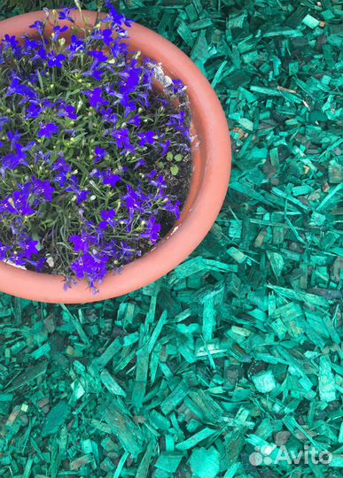 Щепа декоративная зеленая