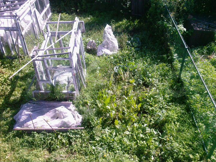 Дача 25 м² на участке 3,8 сот.