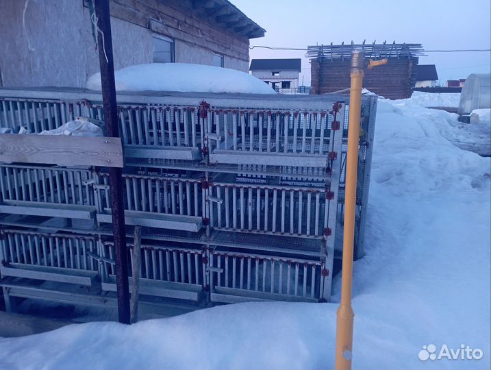 Клетки для перепелов бу