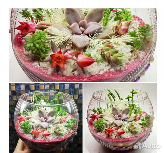 Флорариум премиум класса