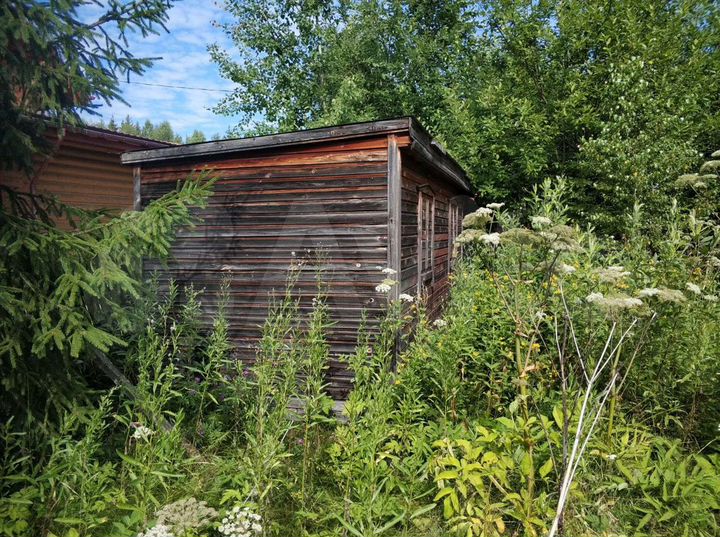 Участок 10 сот. (СНТ, ДНП)