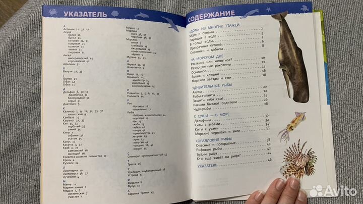 Энциклопедии для Детского Сада