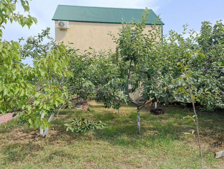 Дача 140 м² на участке 5,1 сот.