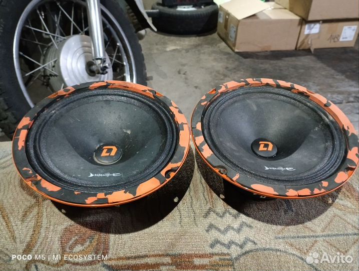 Dl audio barracuda 165
