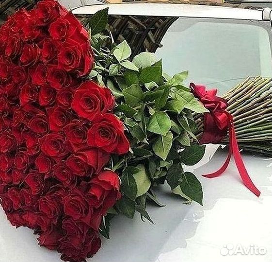101 роза цветы букеты доставка 25 51 101 роза