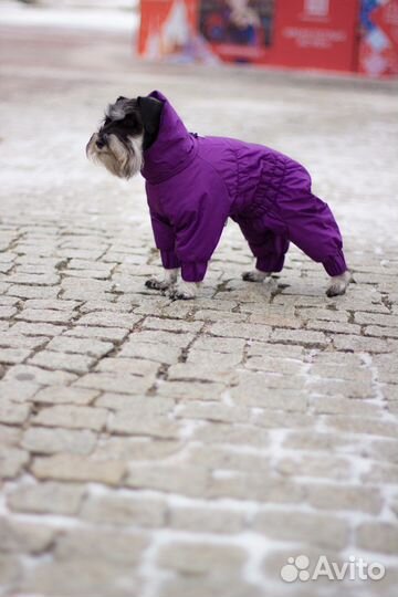 Одежда для собак /Комбинезон/Дождевик