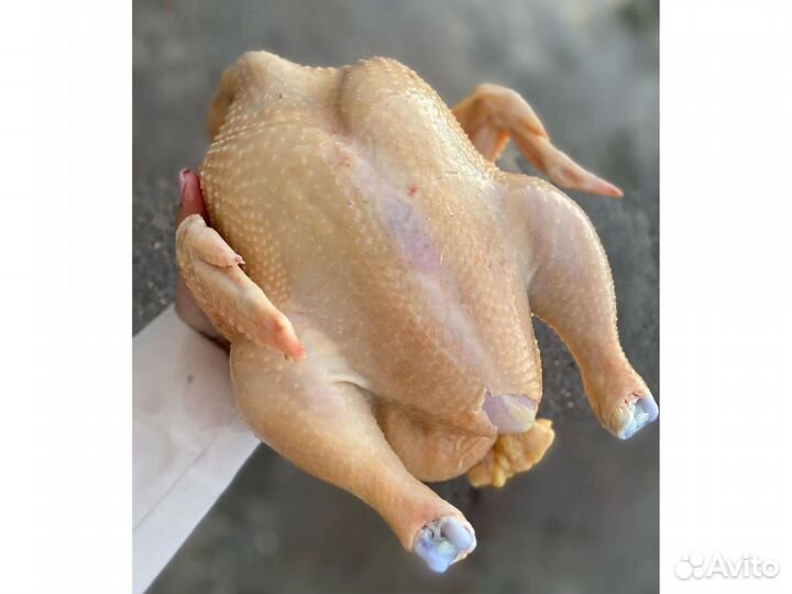 Куриное мясо оптом от 50 тушек
