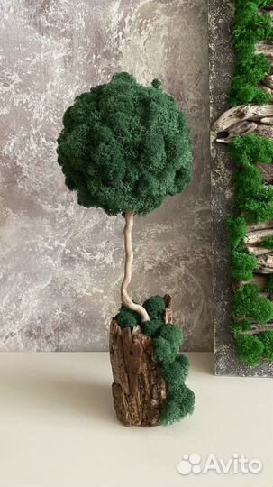 Деревце из мха