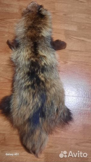 Шкурка енота