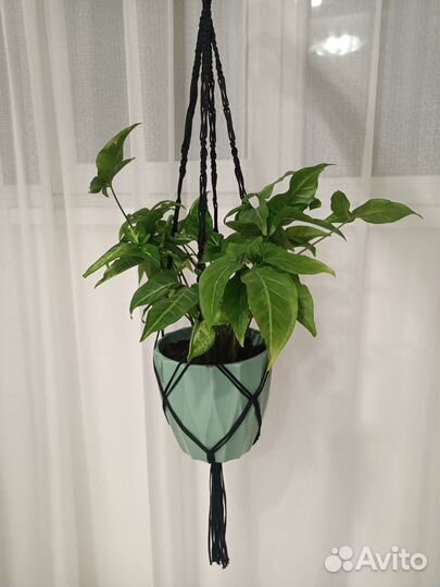 Макраме подвес