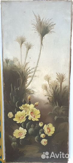 Цветы. Начало 20 го века. Германия