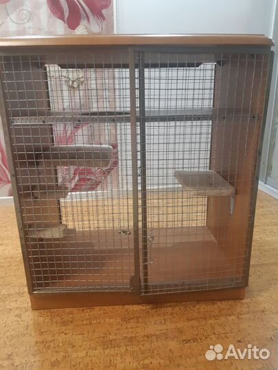 Клетка-витрина для крупных грызунов