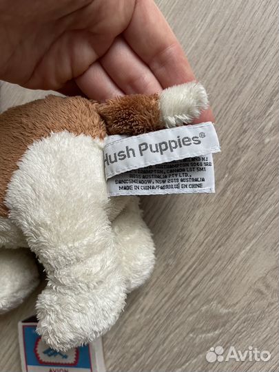 Собака Hush Pappies бассет хаунд (США)