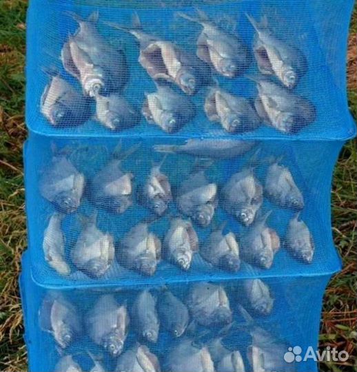 Сушилка для рыбы