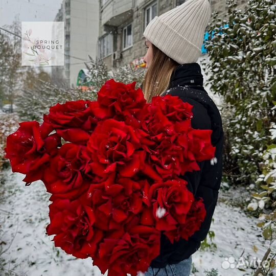 Розы Доставка Цветов 25 51 101 Роза