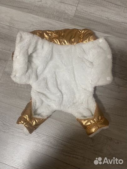 Одежда для минисобачки