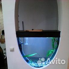 Услуги
