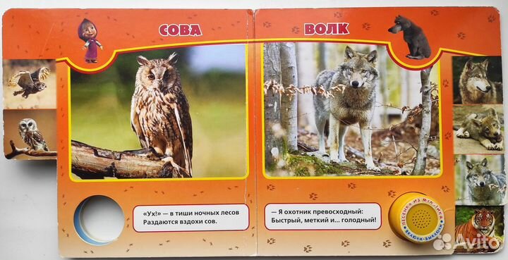 Книга музыкальная