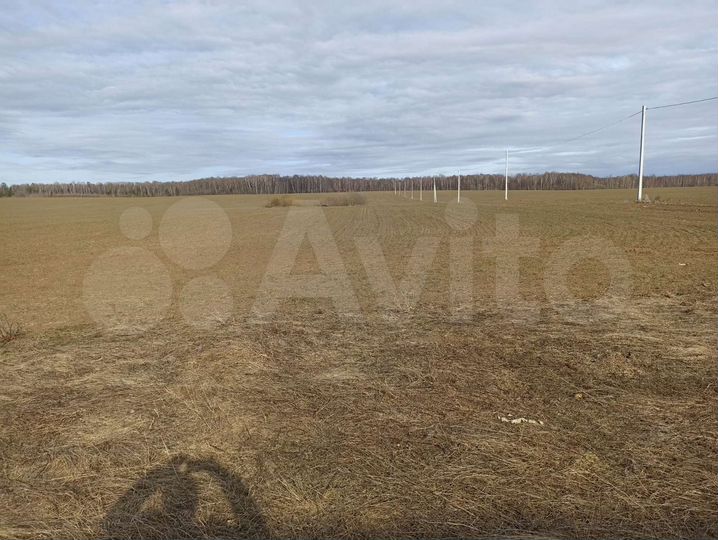Участок 6,5 га (СНТ, ДНП)