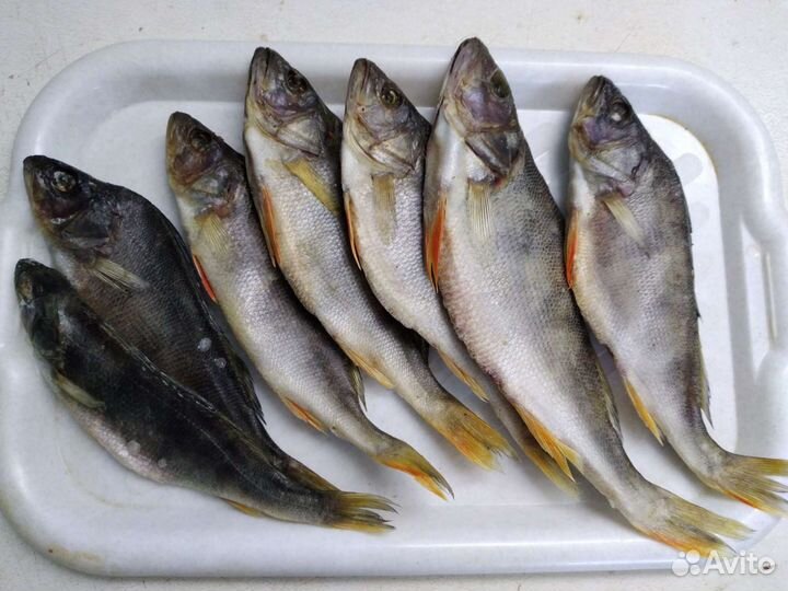 Рыба вяленная