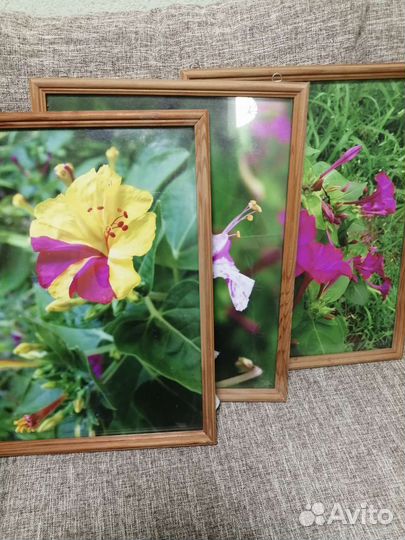 Рамки для фото и картин