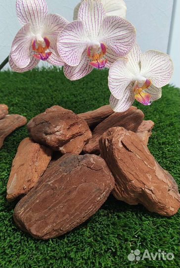 Кора сосны, грунт, субстрат, набор,мох, кашпо