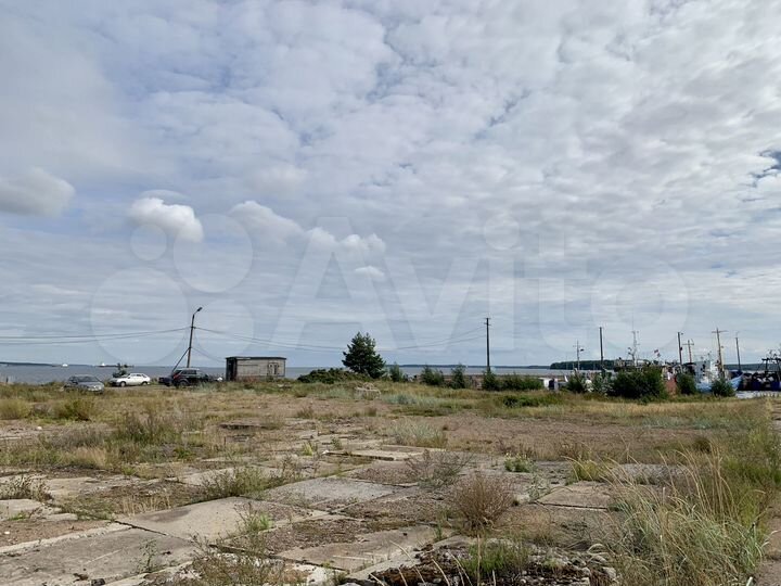 Производство, 54000 м²