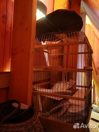 Клетка дуплянка