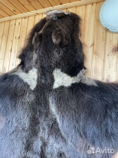 Шкура медведя (имитация)