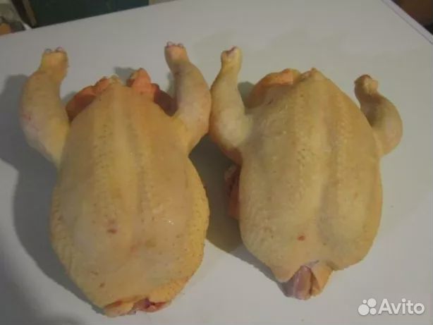 Мясо домашнего бройлера