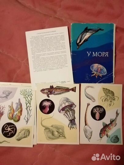 Набор открыток