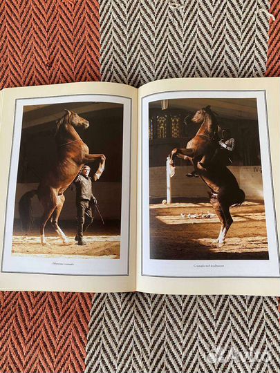 Лошадиная энциклопедия. Невзоров