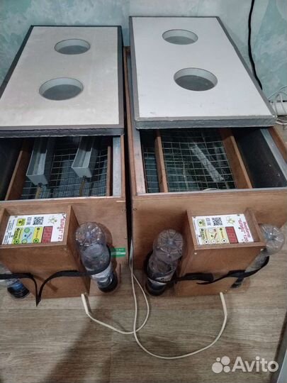 Инкубатор блиц бу