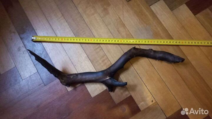 Коряга в террариум