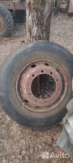 Accelera 651 12.00/20 R12