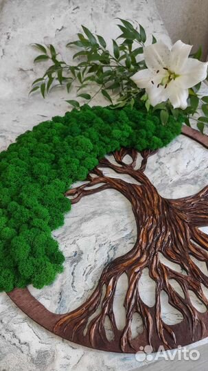 Дерево стабилизированный мох